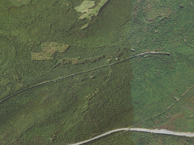 Aerial image of Buchanan State Forest roadside campsite SH040 Oregon  Turnpike