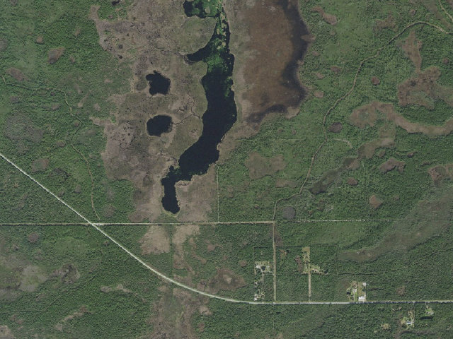 Aerial image of Buck Lake Conservation Area group campsite