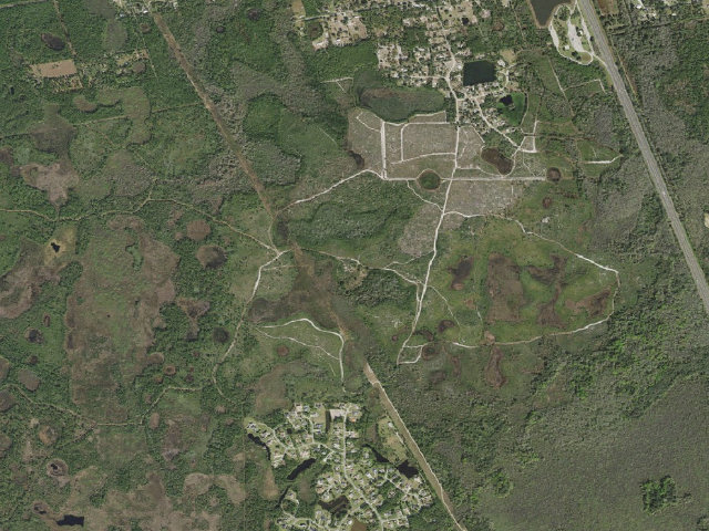 Aerial image of Buck Lake Conservation Area primitive campsite