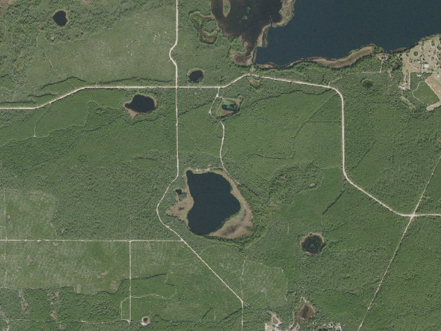 Aerial image of Buck Lake