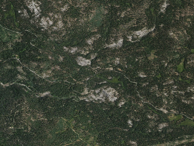 Aerial image of Buck Meadow