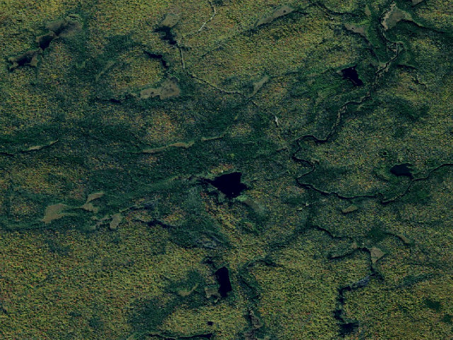 Aerial image of Buck Pond Accessible Campsite (Watsons East Triangle Wild Forest)