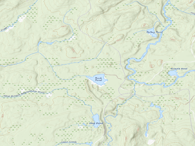 USGS topographic map of Buck Pond Accessible Campsite (Watsons East Triangle Wild Forest)