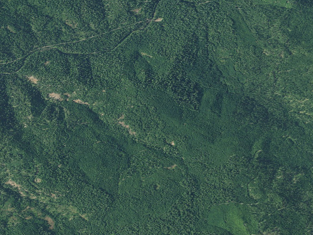 Aerial image of Buckhead Mountain