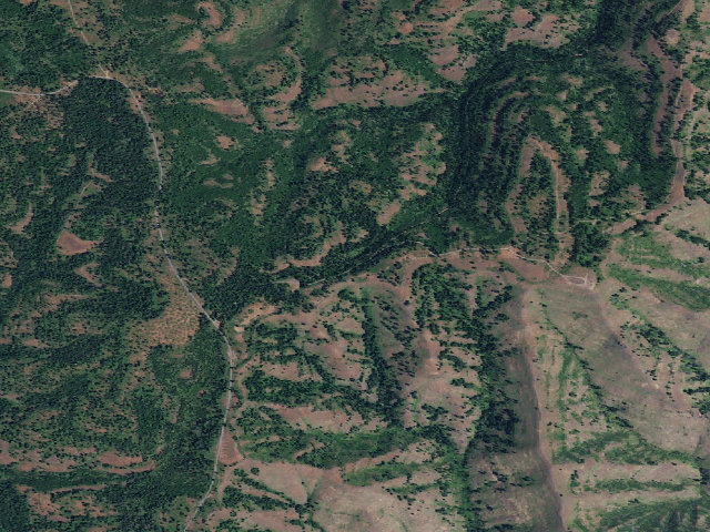 Aerial image of Buckhorn Campground