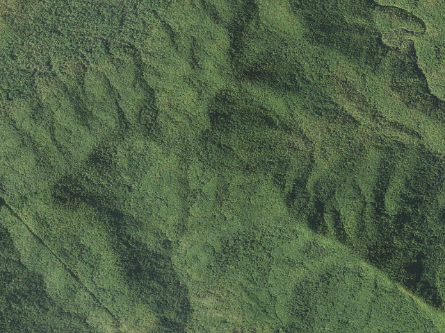 Aerial image of Buckhorn Gap Shelter