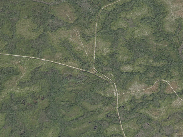 Aerial image of Buckhorn Hunt Camp