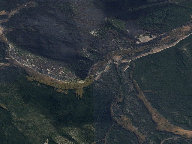 Aerial image of Bud