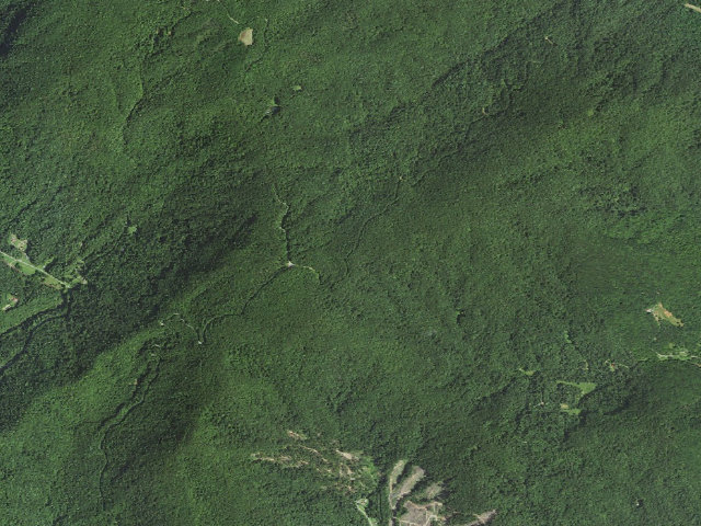 Aerial image of Buffalo Cove Game Land camping area #1