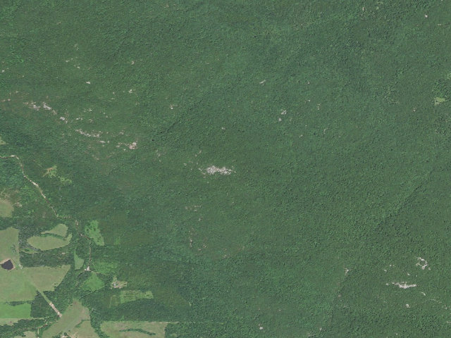 Aerial image of Buford Mountain Conservation Area