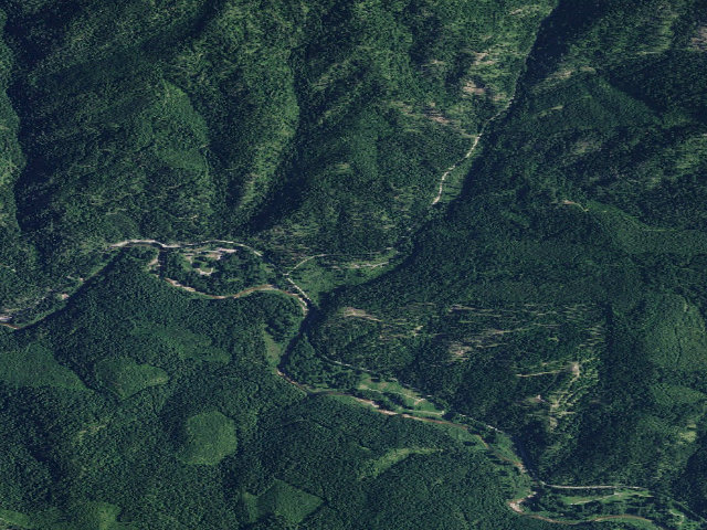 Aerial image of Bumblebee