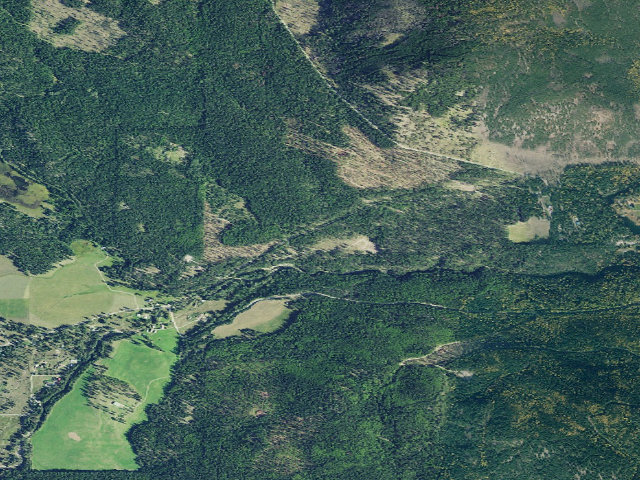 Aerial image of Bunchgrass