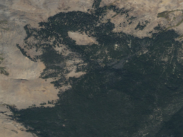 Aerial image of Burn Pile