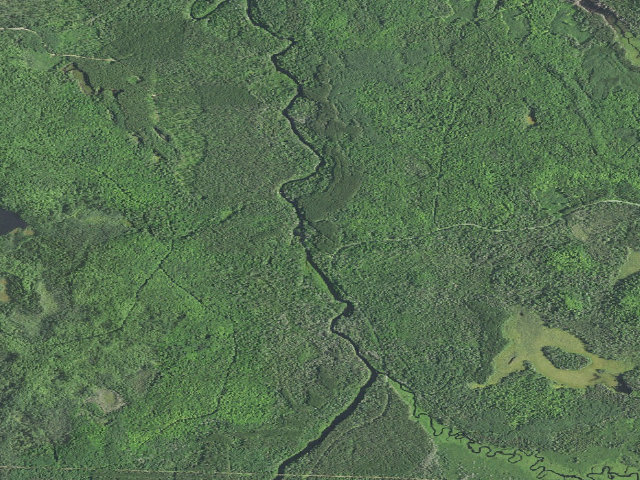 Aerial image of Burned Dam