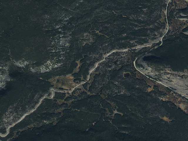 Aerial image of Burned Log