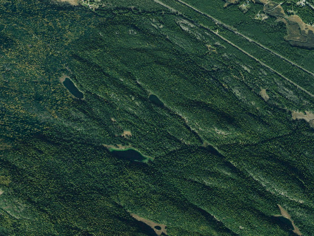 Aerial image of Burnt Lake Ds