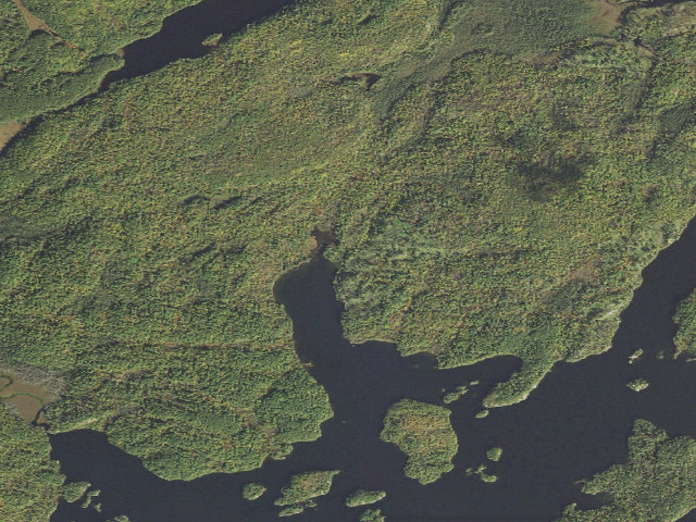 Aerial image of Burntside Lake Site 2