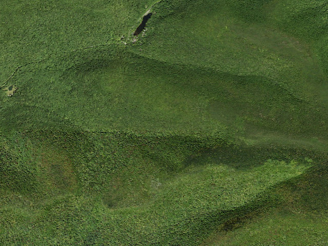 Aerial image of Burroughs Trail Campsite #1 [DEC #228715] (Slide Mountain Wilderness)