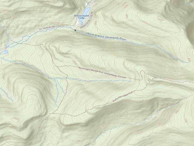 USGS topographic map of Burroughs Trail Campsite #1 [DEC #228715] (Slide Mountain Wilderness)