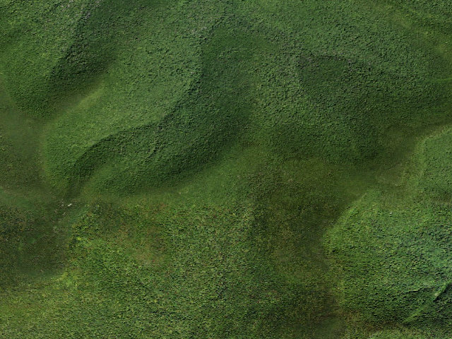 Aerial image of Burroughs Trail Campsite #2 [DEC #228724] (Slide Mountain Wilderness)