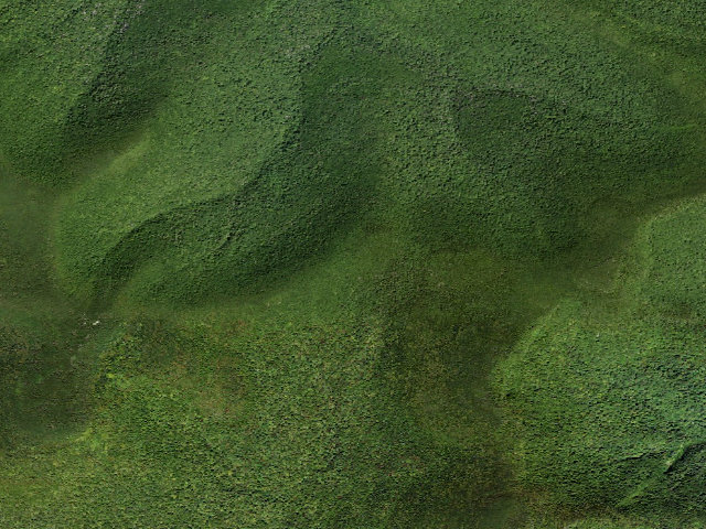 Aerial image of Burroughs Trail Campsite #3 [DEC #228723] (Slide Mountain Wilderness)