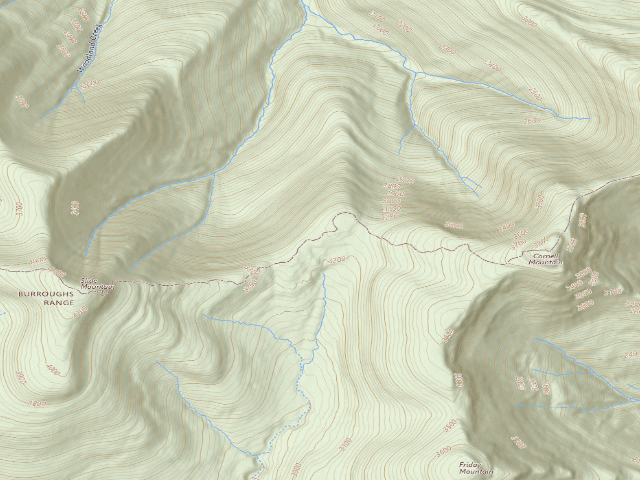 USGS topographic map of Burroughs Trail Campsite #3 [DEC #228723] (Slide Mountain Wilderness)