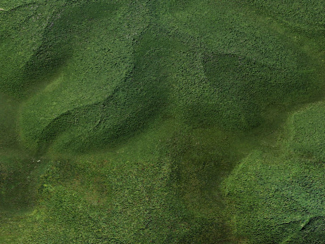Aerial image of Burroughs Trail Campsite #4 [DEC #228722] (Slide Mountain Wilderness)