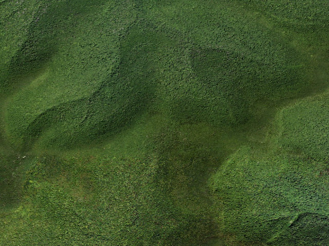 Aerial image of Burroughs Trail Campsite #5 [DEC #228716] (Slide Mountain Wilderness)