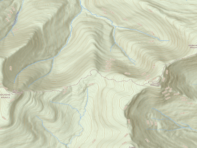 USGS topographic map of Burroughs Trail Campsite #5 [DEC #228716] (Slide Mountain Wilderness)
