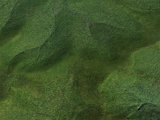 Aerial image of Burroughs Trail Campsite #6 [DEC #228720] (Slide Mountain Wilderness)