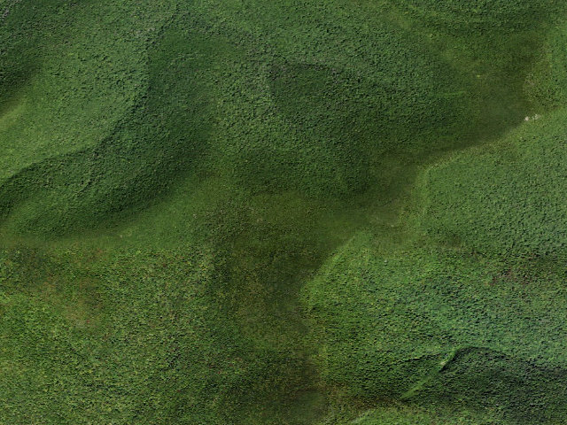 Aerial image of Burroughs Trail Campsite #7 [DEC #228719] (Slide Mountain Wilderness)