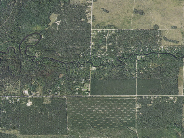 Aerial image of Burton's Landing State Forest Campground