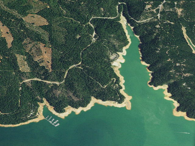 Aerial image of Bushytail Cg-G