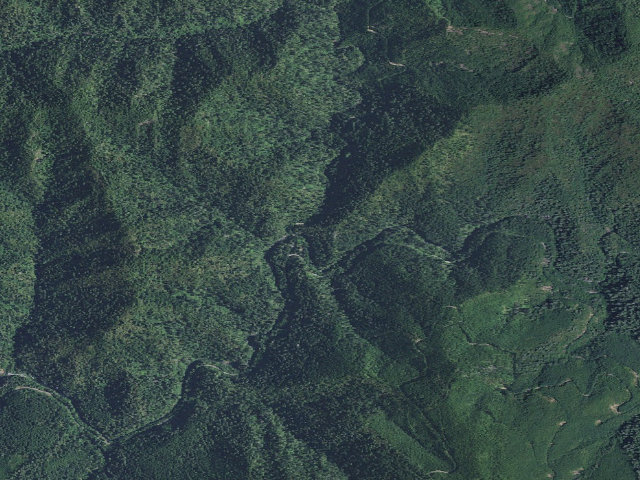 Aerial image of Butler Bar