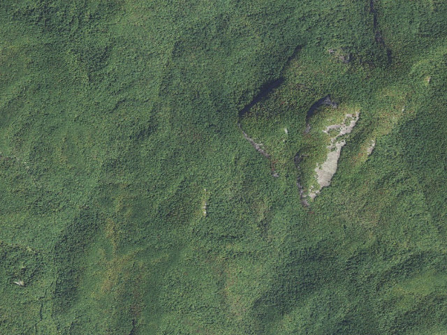 Aerial image of Butter Gap Shelter