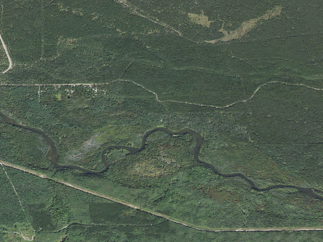 Aerial image of Buttercup Campground