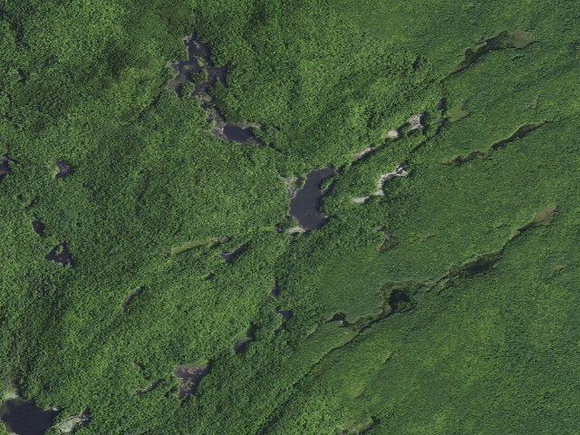 Aerial image of Buttermilk Pond (Lake George Wild Forest)