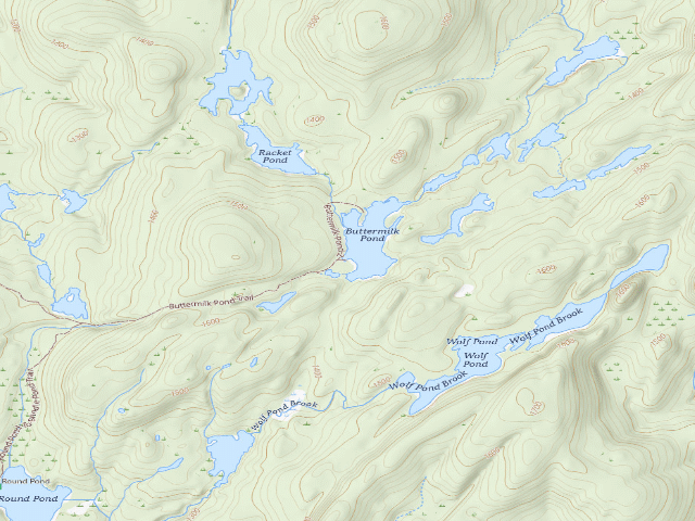 USGS topographic map of Buttermilk Pond (Lake George Wild Forest)