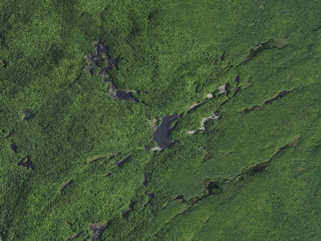 Aerial image of Buttermilk Pond (Lake George Wild Forest)