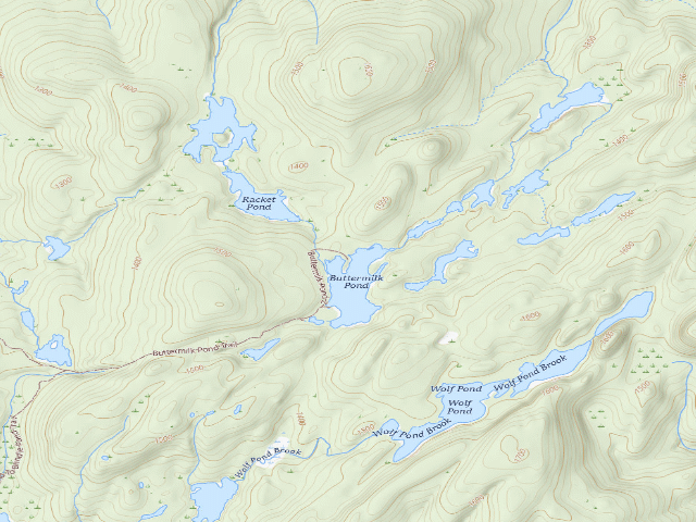 USGS topographic map of Buttermilk Pond (Lake George Wild Forest)