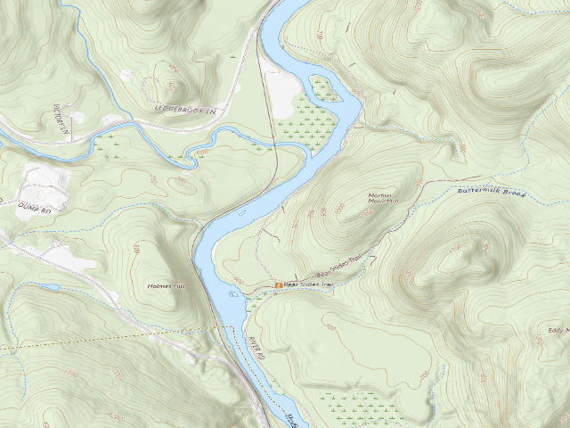 USGS topographic map of Buttermilk Road Campsite 8 (Lake George Wild Forest)