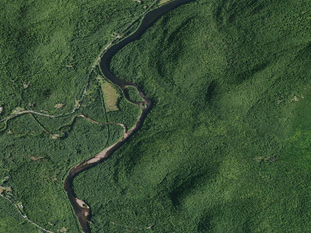 Aerial image of Buttermilk Road Campsite 9 (Lake George Wild Forest)