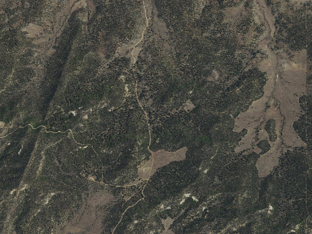 Aerial image of Buzzard Park Campground