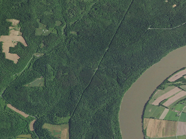 Aerial image of Buzzard Roost Campground