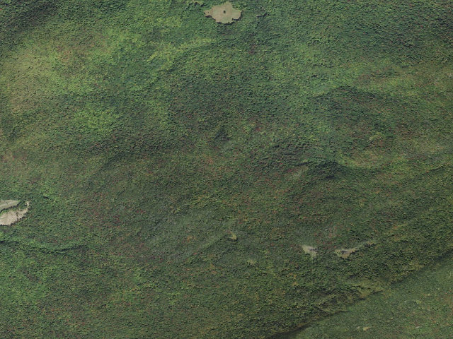 Aerial image of C.C. Putnam State Forest primitive camping area 2