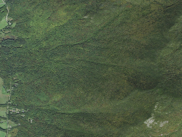 Aerial image of C.C. Putnam State Forest primitive camping area 3