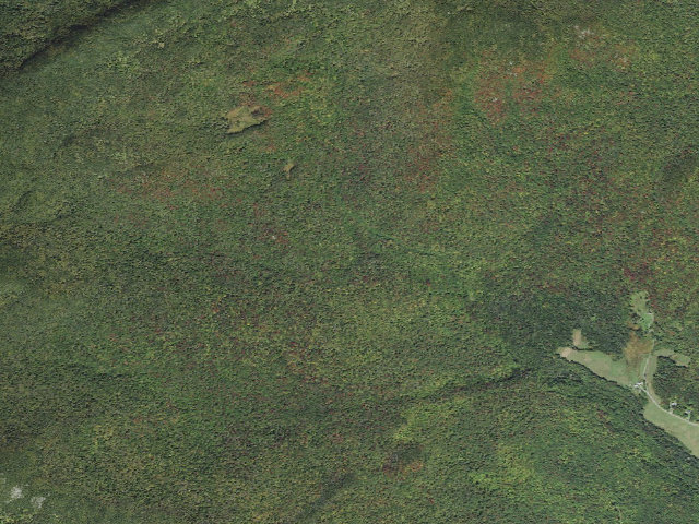 Aerial image of C.C. Putnam State Forest primitive camping area 4
