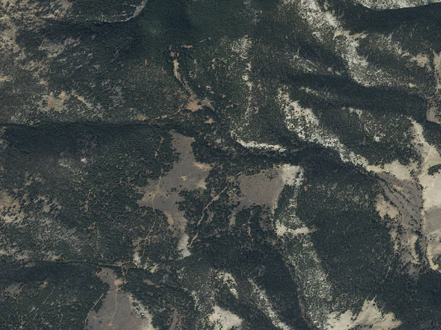 Aerial image of Cabin