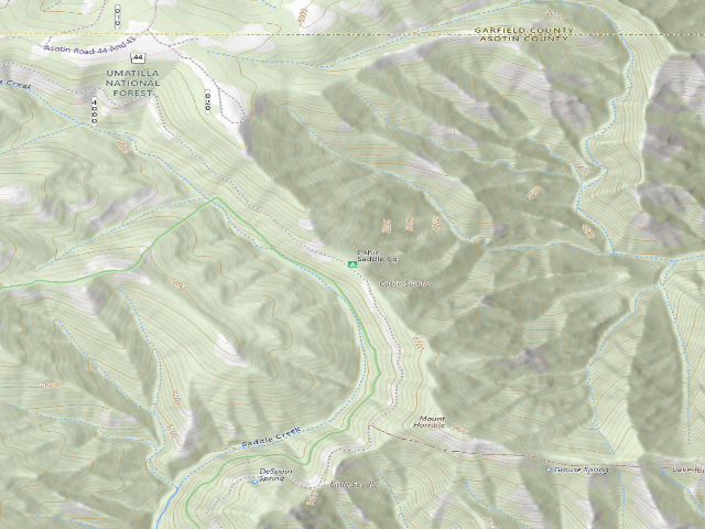 USGS topographic map of Cabin Saddle