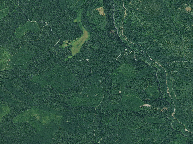 Aerial image of Camas Creek